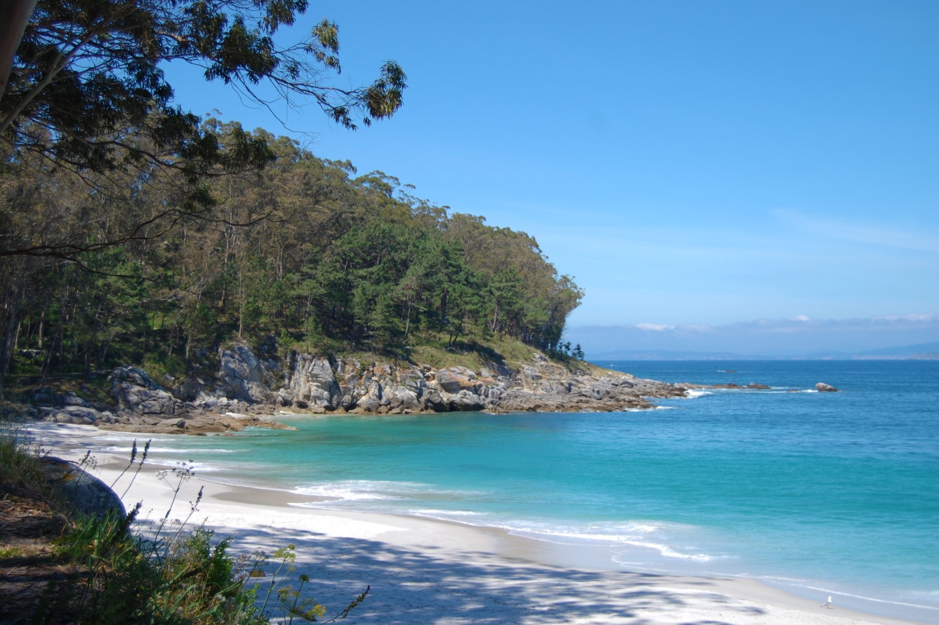 Cruceros Rías Baixas - Isla de Ons